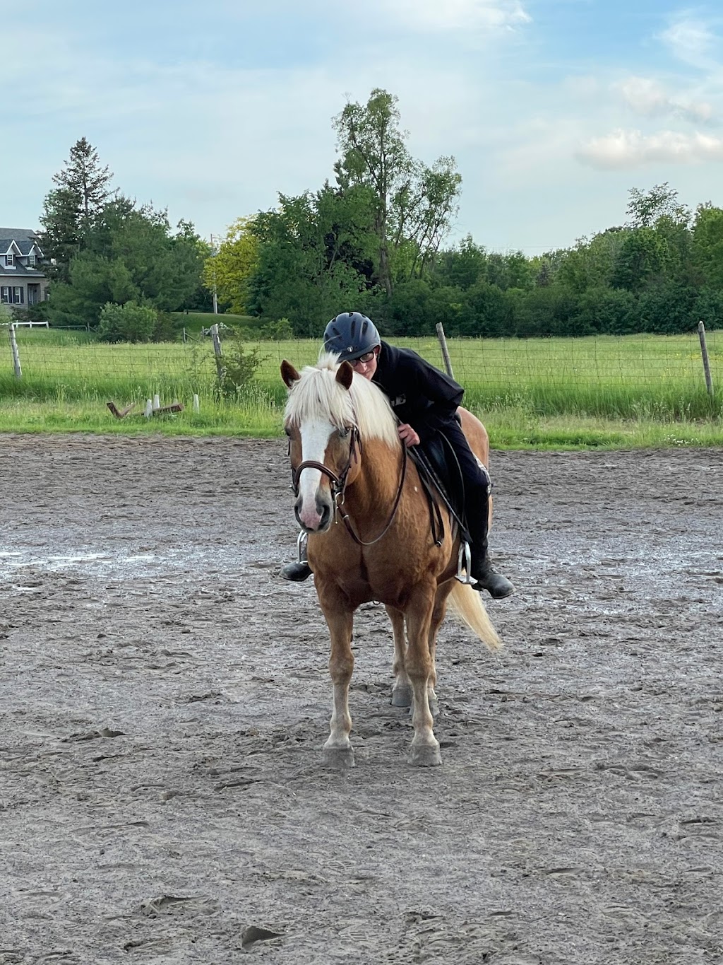 Out of The Blue Stables | 280 Mud Lake Rd N, Odessa, ON K0H 2H0, Canada | Phone: (613) 876-4324