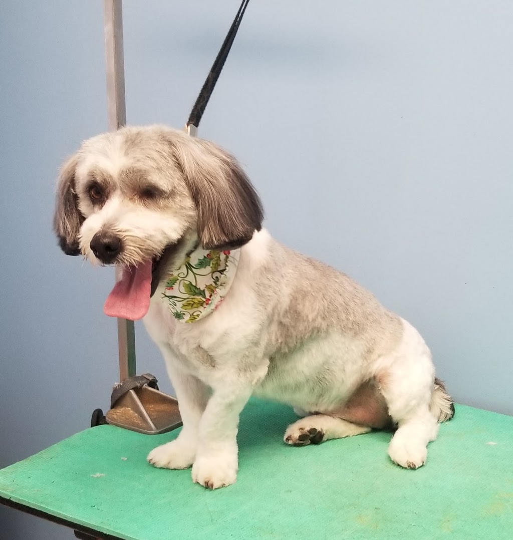 Grooming by Kerri | 63308, Range Rd 271, Jarvie, AB T0B 4B0, Canada | Phone: (780) 224-7064