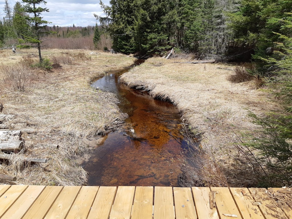 The Huntsville Cottage | 181 Concession Road 4 & 5 E, Huntsville, ON P1H 2J3, Canada | Phone: (647) 291-5700