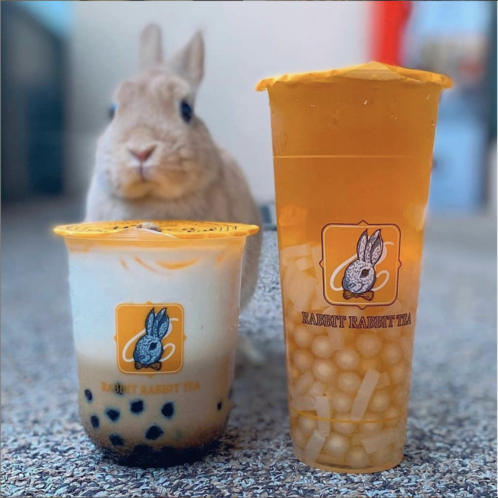 RABBIT RABBIT TEA | 10650 Leslie St Unit 4, Richmond Hill, ON L4S 0B9, Canada | Phone: (647) 855-6963