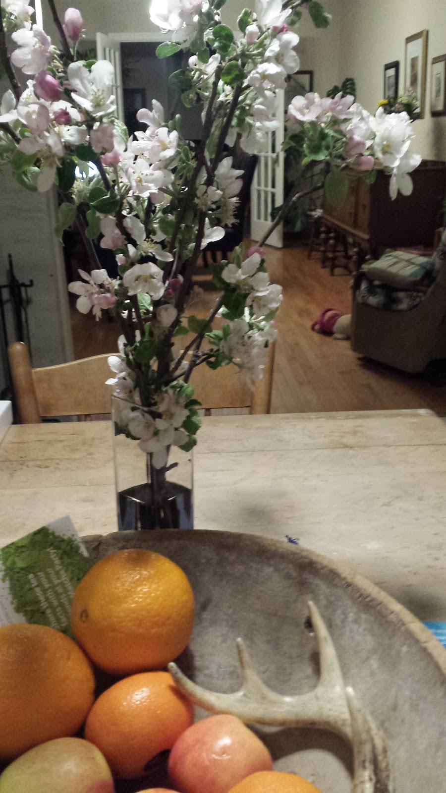 Wagram Springs Farm | 8823 Concession 11 RR1, Moorefield, ON N0G 2K0, Canada | Phone: (519) 323-2300
