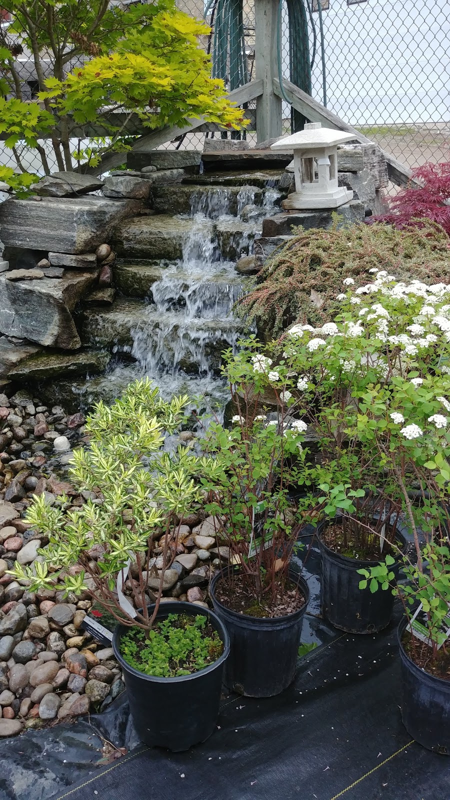 Verbeeks Farm & Garden Ctr | 22 Isaac St, Clinton, ON N0M 1L0, Canada | Phone: (519) 482-9333