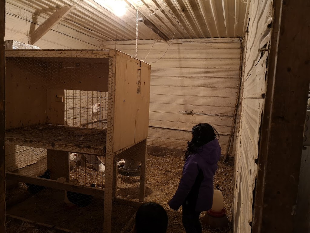 Saunders Organics Farm | Middlesex Centre, ON N0M, Canada | Phone: (519) 666-0705