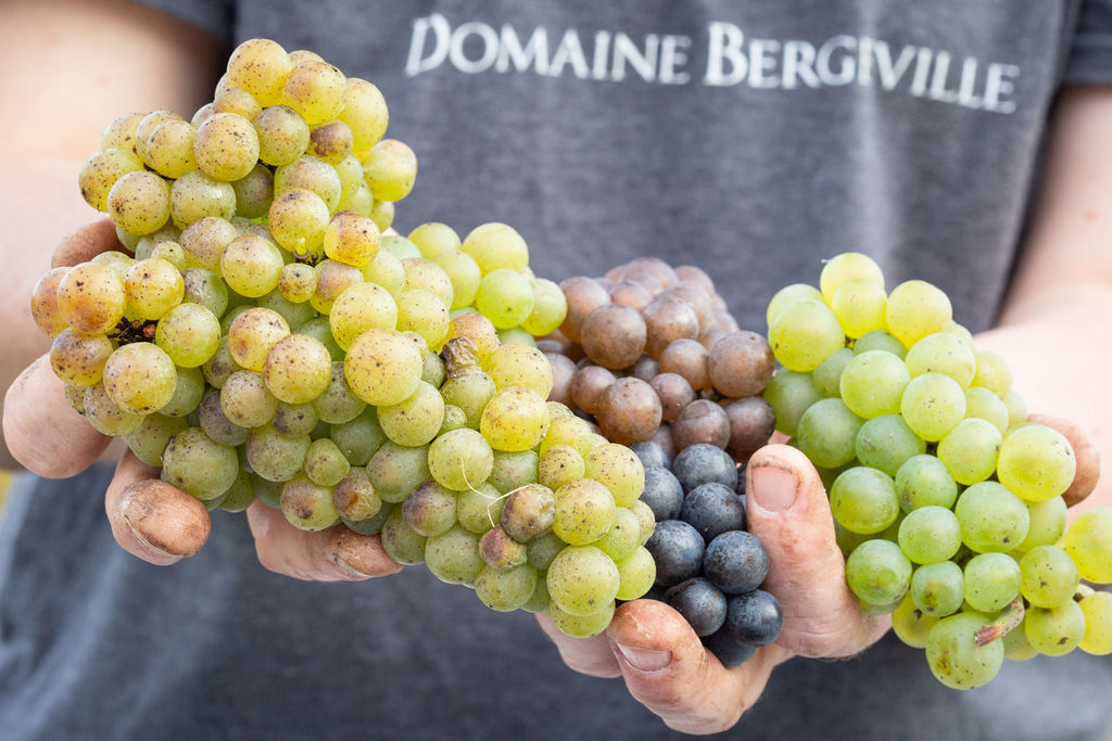 Domaine Bergeville | 1030 Chem. Sherbrooke, Hatley, QC J0B 2C0, Canada | Phone: (819) 842-1026
