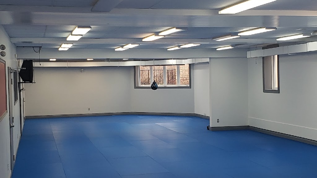 Gracie Barra Manotick | 5700 Longshadow St, Manotick, ON K4M 1M2, Canada | Phone: (613) 695-8155