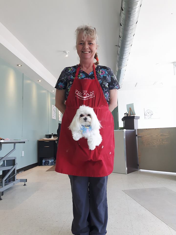 Allpetz Service | 3554 concession #3, Newcastle, ON L1B 1B9, Canada | Phone: (289) 512-0281