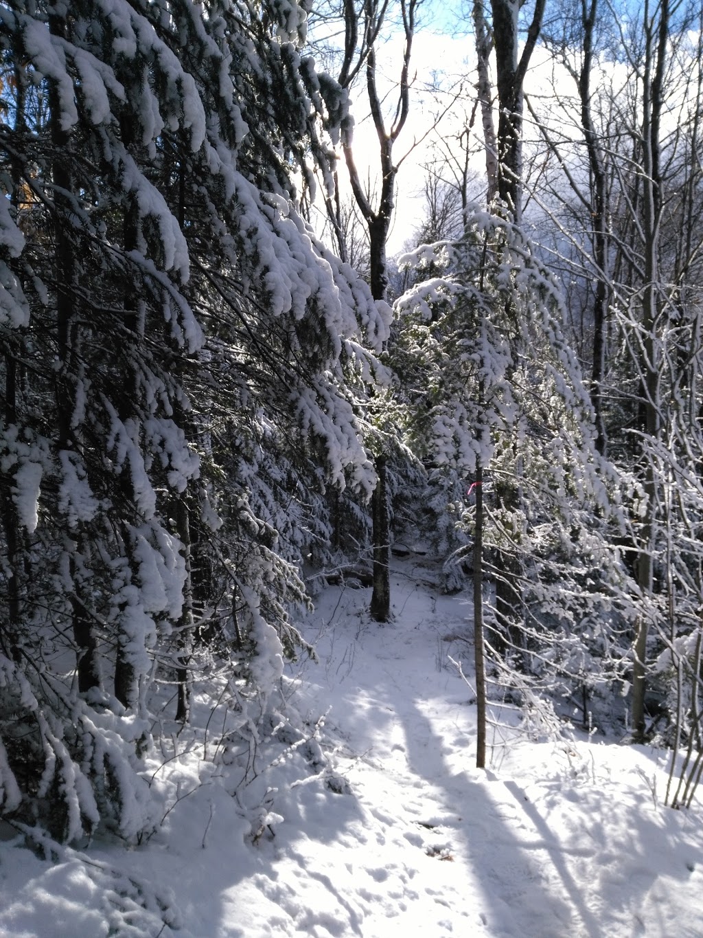 Parc régional de Val-David-Val-Morin, Chalet daccueil Anne-Pich | 1165 Chemin du Condor, Val-David, QC J0T 2N0, Canada | Phone: (819) 322-6999