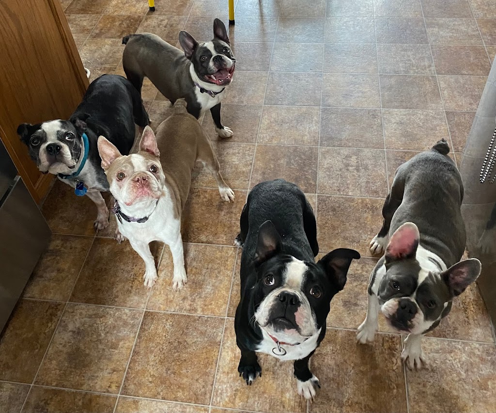 Coulee Veterinary Clinic | 6 Aquitania Blvd W #40, Lethbridge, AB T1J 5L4, Canada | Phone: (403) 898-0321
