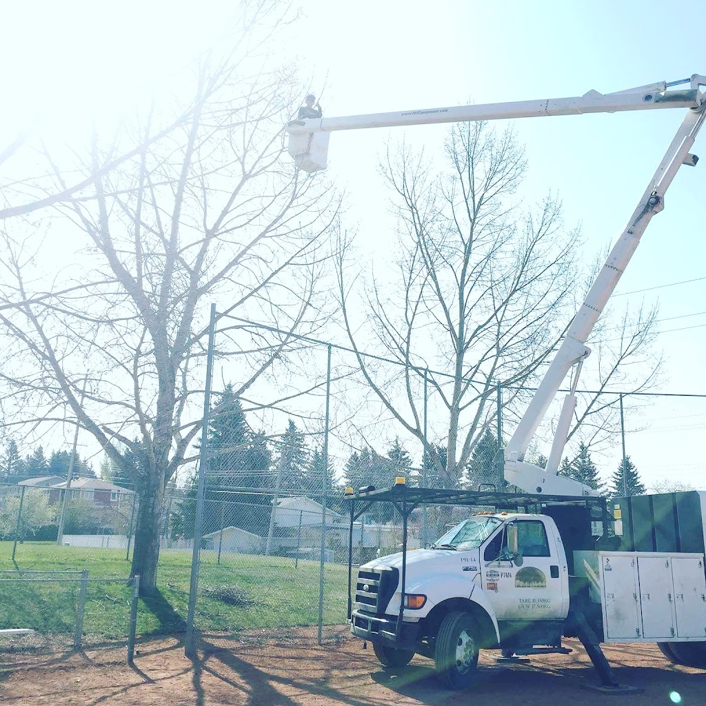 Rescyou Tree Service | 147 Walker Rd, Sackville, NB E4L 3K6, Canada | Phone: (519) 280-1937