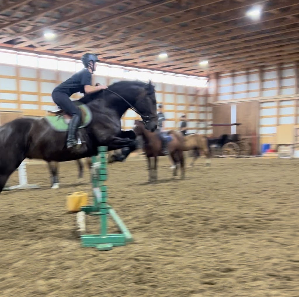 Lucky Seven Ranch | Highway 532, Saint Alphonse, MB R0K 1Z0, Canada | Phone: (204) 526-7772