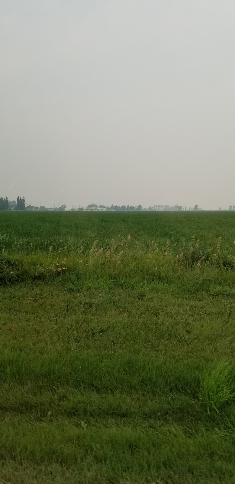 Magrath Stake Campground | Magrath, AB T0K 1J0, Canada | Phone: (403) 331-1066