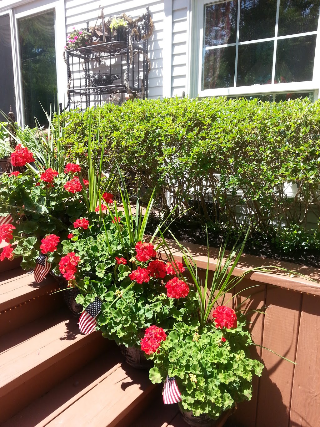 Pepper Group Ltd | 153 Deerwood Ln, Grand Island, NY 14072, USA | Phone: (716) 773-4246