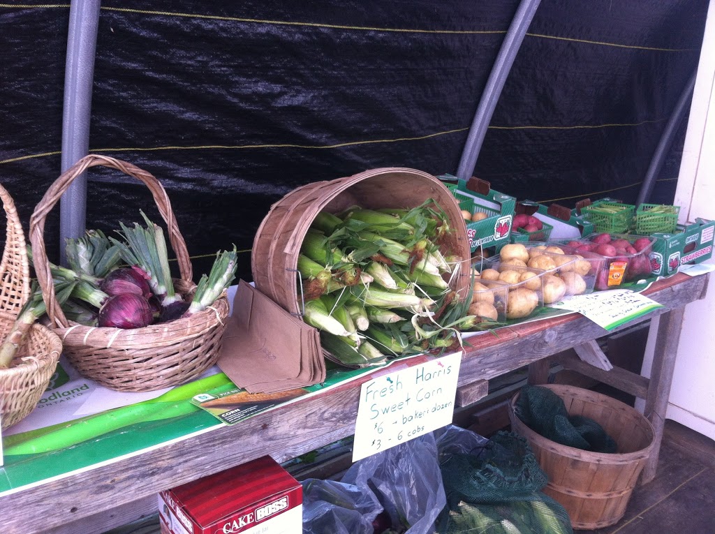 Moondance Organic Gardens | 8463 Line 5, Angus, ON L0M, Canada | Phone: (705) 719-8705