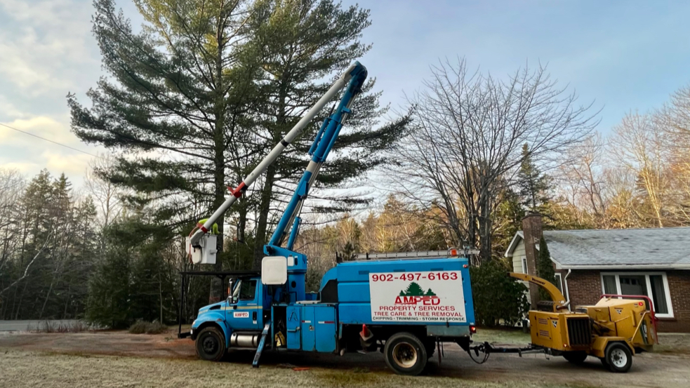 Amped Property Services | Big Lots Rd, Lunenburg, NS B0J 2C0, Canada | Phone: (902) 497-6163