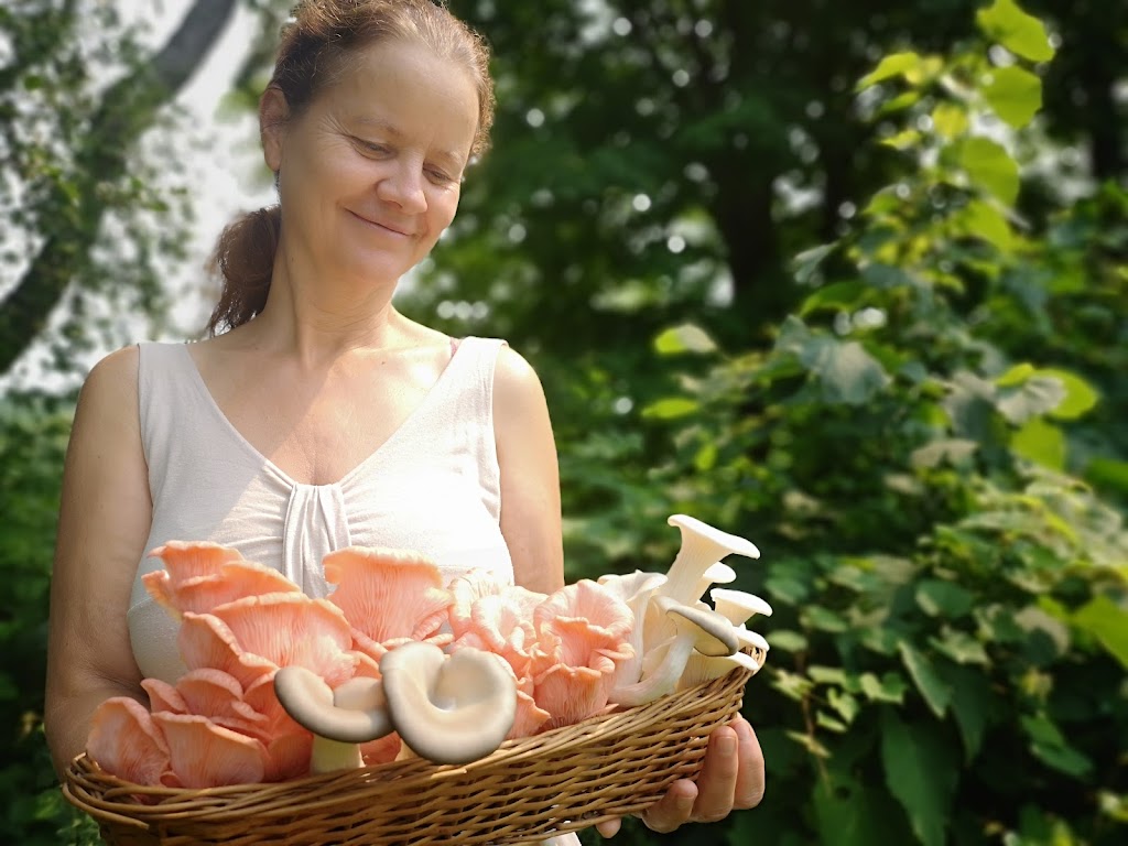 Gourmet Mushrooms Paisley | 3506 Bruce County Rd 3, Paisley, ON N0G 2N0, Canada | Phone: (519) 386-6557