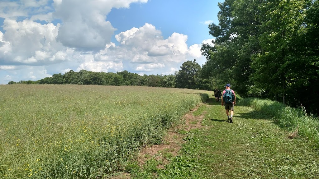 Boyne Valley Provincial Park | Shelburne, ON L0N 1S0, Canada | Phone: (705) 435-2498