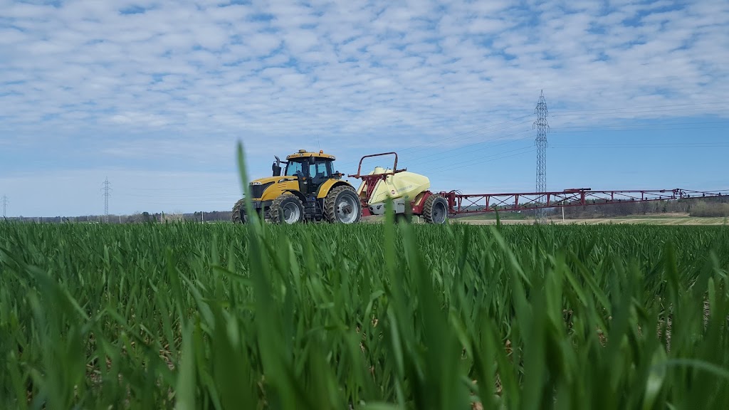ONSLOWFARM Pontiac | 6800 Chem. Henderson, Quyon, QC J0X 2V0, Canada | Phone: (819) 458-3232