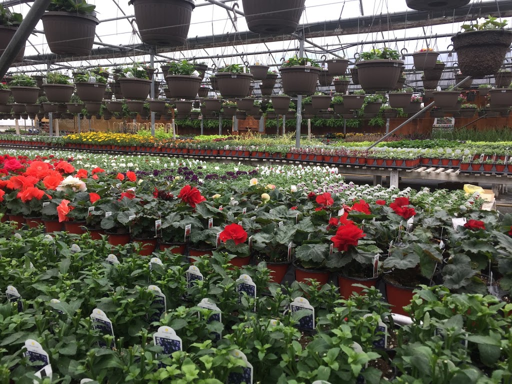 Lucan Country Gardens | 34603 Richmond St, Lucan, ON N0M 2J0, Canada | Phone: (519) 227-1716