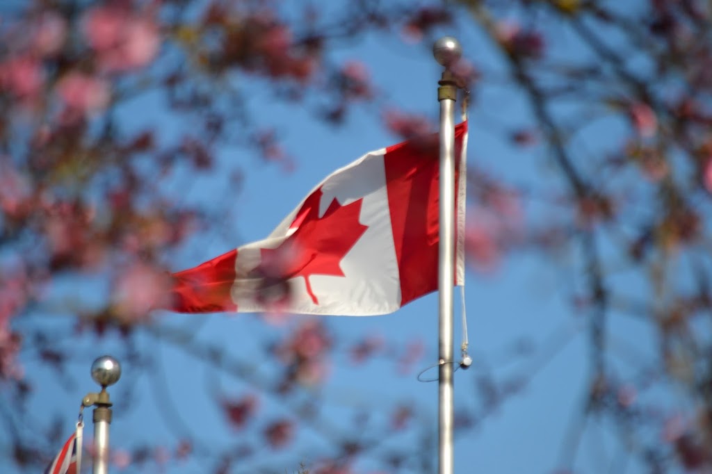 Fields Tree Service Inc. | 34351 Harris Rd, Abbotsford, BC V3G 1R8, Canada | Phone: (778) 838-9720