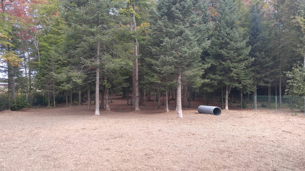 Petsafe Kingdom Dog Park | 299 T-34, Derby, VT 05829, USA