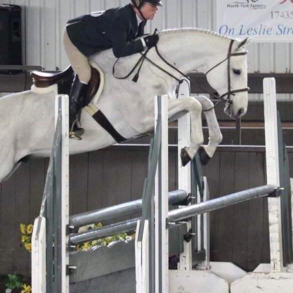 SJD Equestrian | 1122 Big Bay Point Rd, Innisfil, ON L9S 2R1, Canada | Phone: (705) 794-0788