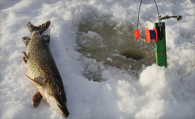 Friday Harbour Sports | Sea Ray Ave, Innisfil, ON L9S 2N4, Canada | Phone: (705) 243-6690