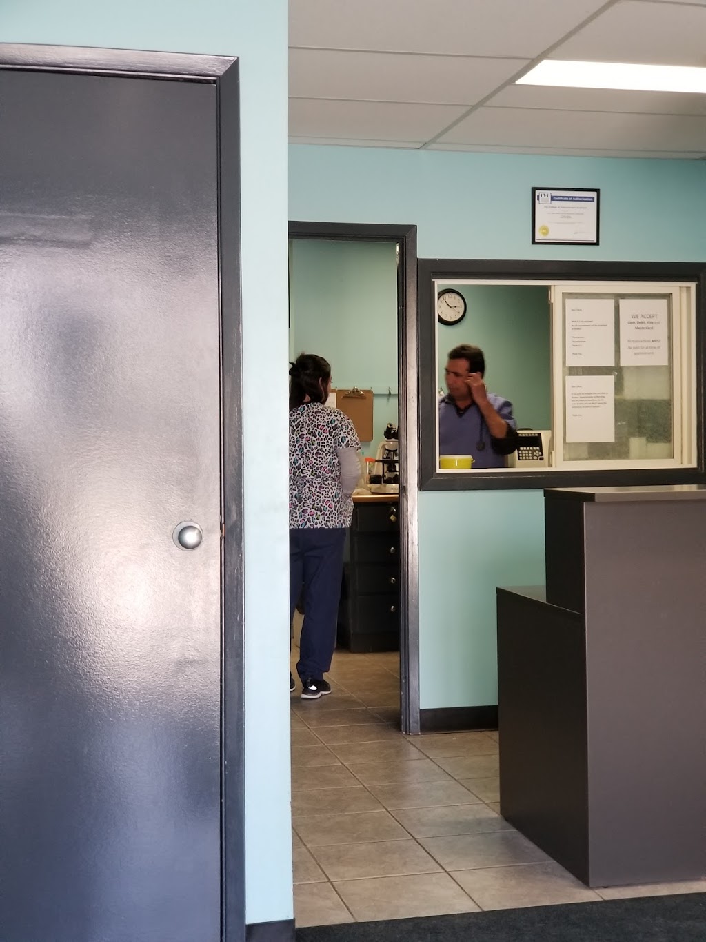 East London Animal Hospital | 417 Spruce, London, ON N5W 4P2, Canada | Phone: (519) 453-6030