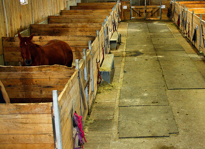 Ranch St-Hubert | 890 Chemin St Jacques, Saint-Herménégilde, QC J0B 2W0, Canada | Phone: (819) 820-5167