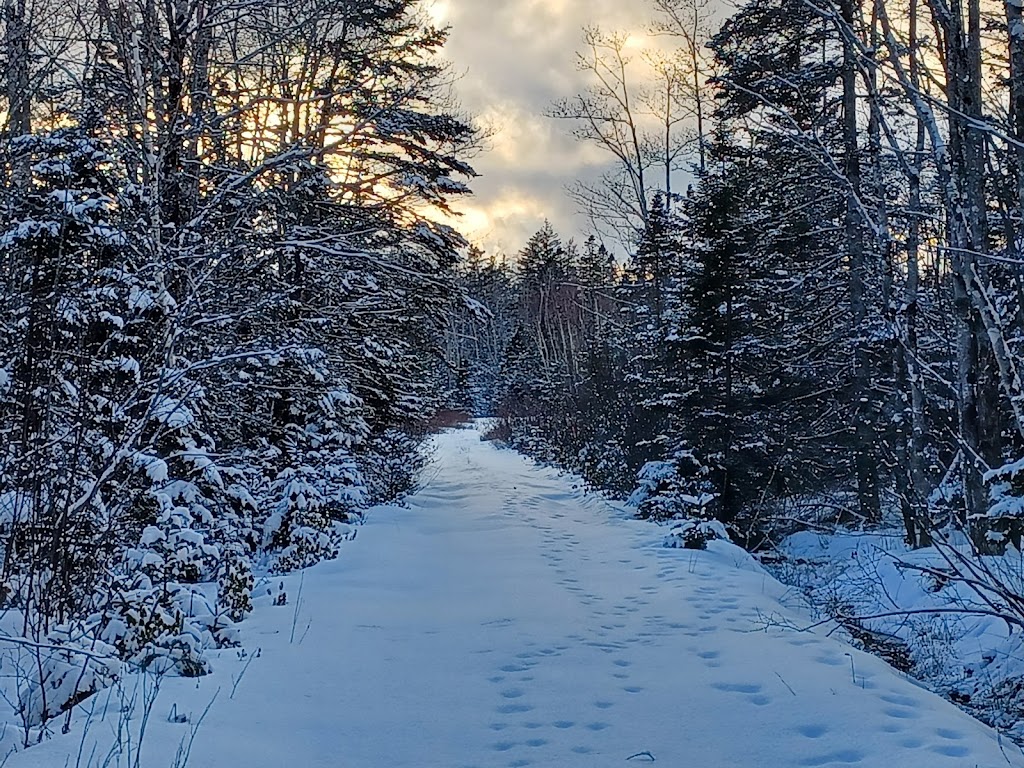 Forest Glen Adventures | 5907 NS-340, Forest Glen, NS B5A 5R1, Canada | Phone: (902) 761-2648