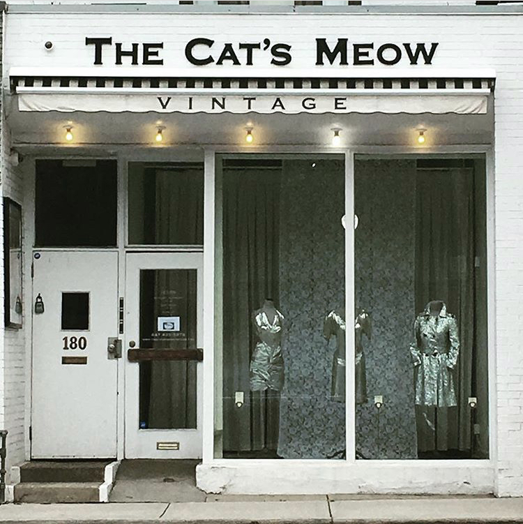 The Cats Meow | 180 Avenue Rd, Toronto, ON M5R 2J1, Canada | Phone: (647) 435-5875