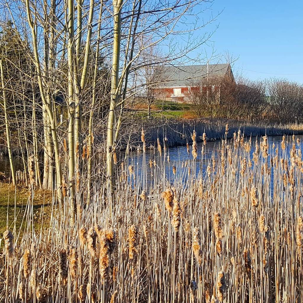 Hillsborough Visitor Information Centre | 2861 Main St, Hillsborough, NB E4H 2X8, Canada | Phone: (506) 734-2240