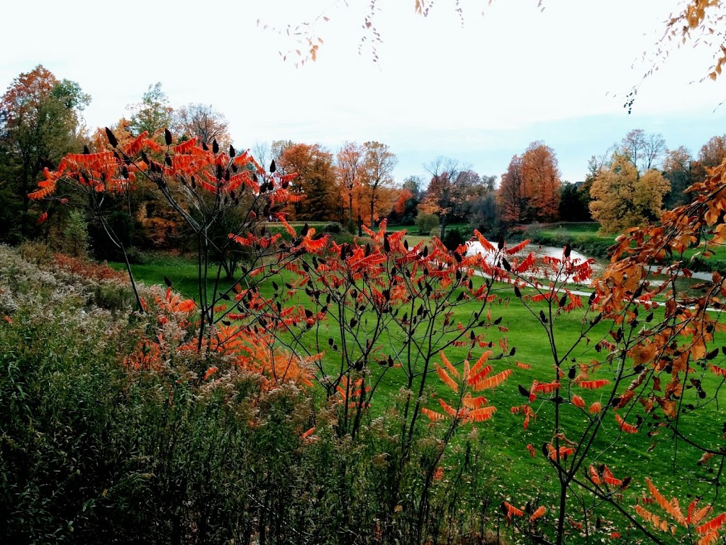 Briar Hill Community Center | 4783 C W Leach Rd, Alliston, ON L9R 2E7, Canada | Phone: (705) 435-8066
