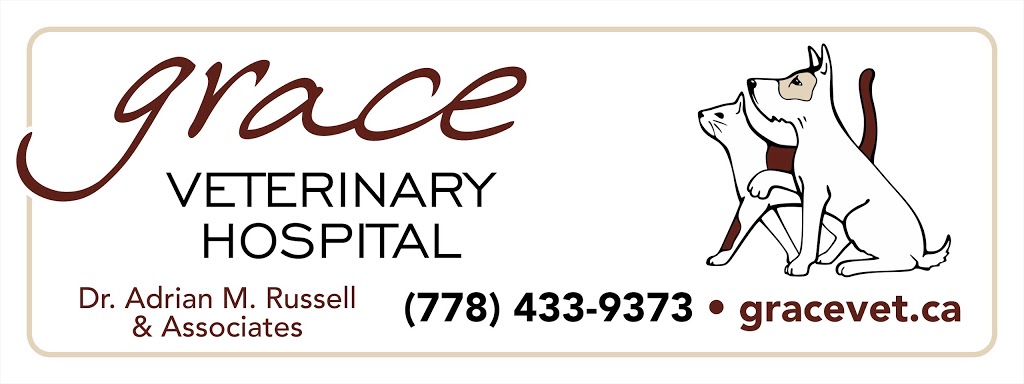 Grace Veterinary Hospital | 4228 Glanford Ave, Victoria, BC V8Z 4B7, Canada | Phone: (778) 433-9373