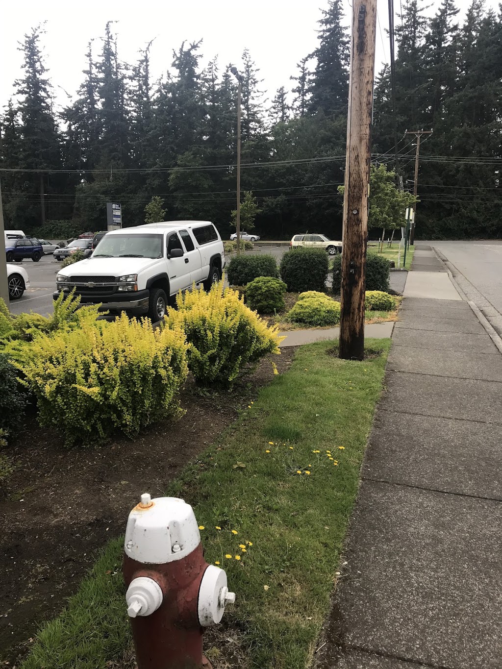 El Rinconcito Taco Truck | 3600 Meridian St suite 205, Bellingham, WA 98225, USA | Phone: (360) 595-4450