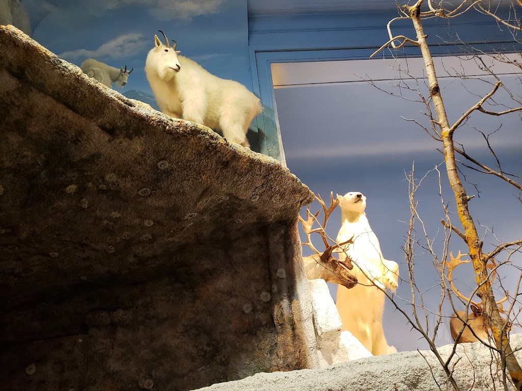 Sherman Hines Museum Of Photography | 205 Church St, Liverpool, NS B0T 1K0, Canada | Phone: (902) 354-3067