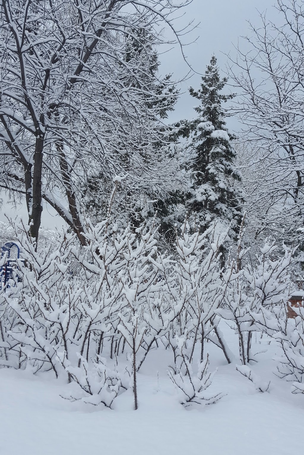 Parc G.-Melatti | Rue Melatti, Montréal, QC H8N, Canada