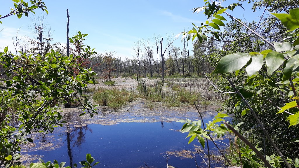 A 1 Excavating | 245 Station Rd, Hillier, ON K0K 2J0, Canada | Phone: (613) 399-5964
