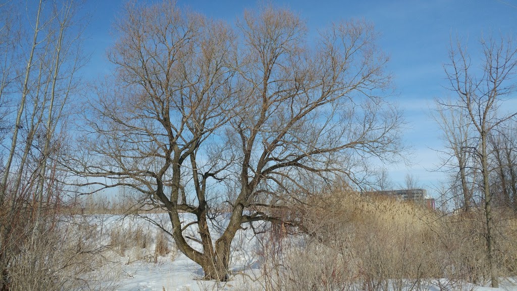 Parc Champlain | Candiac, QC J5R 3N3, Canada