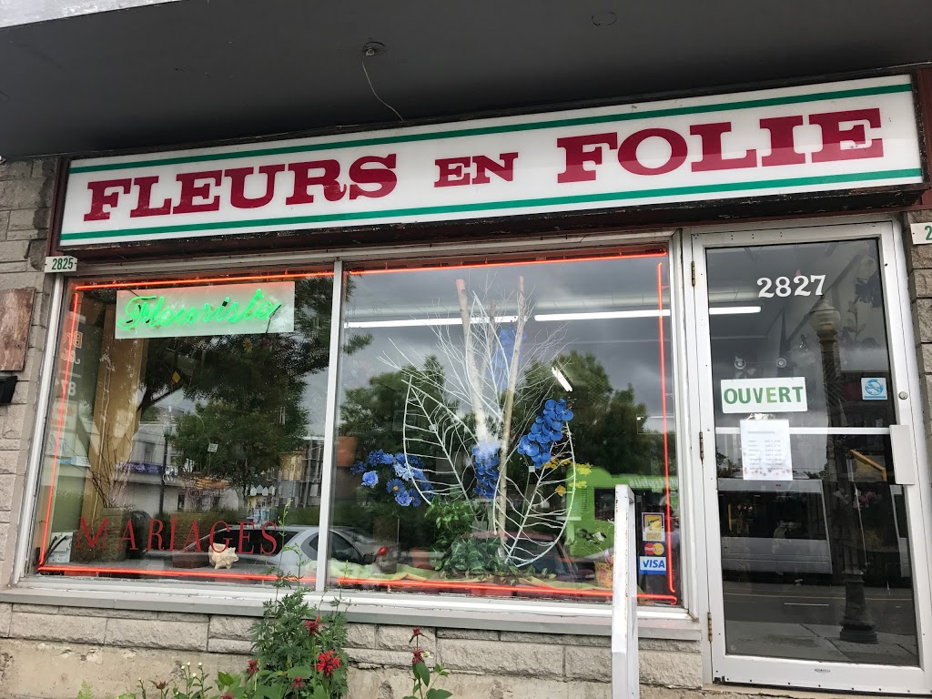 Fleurs en folie | 2827 Boulevard Masson, Québec, QC G1P 1J7, Canada | Phone: (418) 877-0765