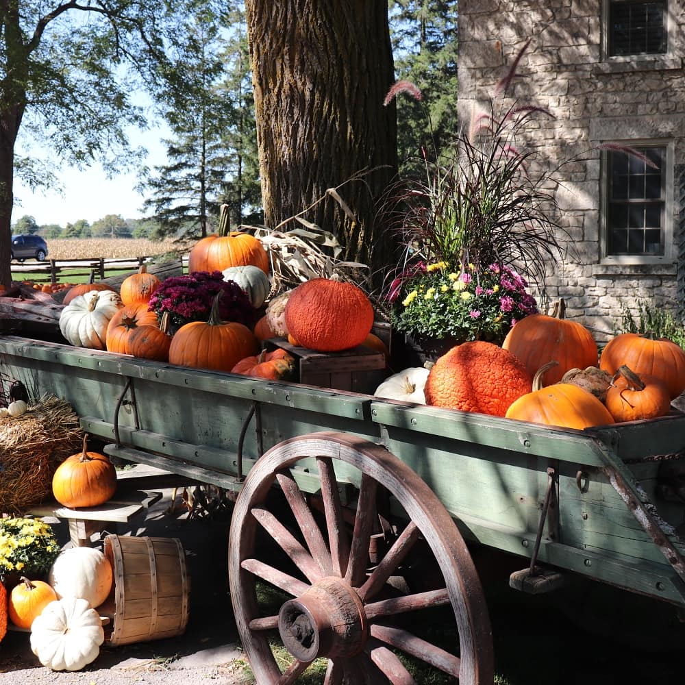 Stroms Farm & Bakery | 5089 Wellington Rd 32, Guelph, ON N1H 6J4, Canada | Phone: (519) 822-1070