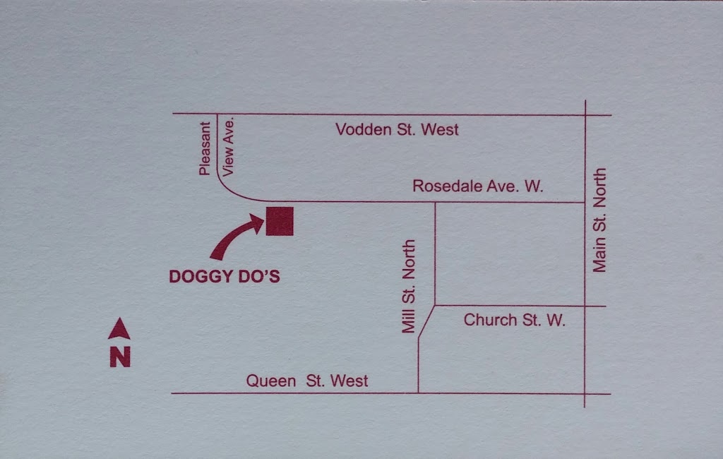 Doggy Dos Pet Grooming | 85 Rosedale Ave W unit 6, Brampton, ON L6X 4H5, Canada | Phone: (905) 457-0165
