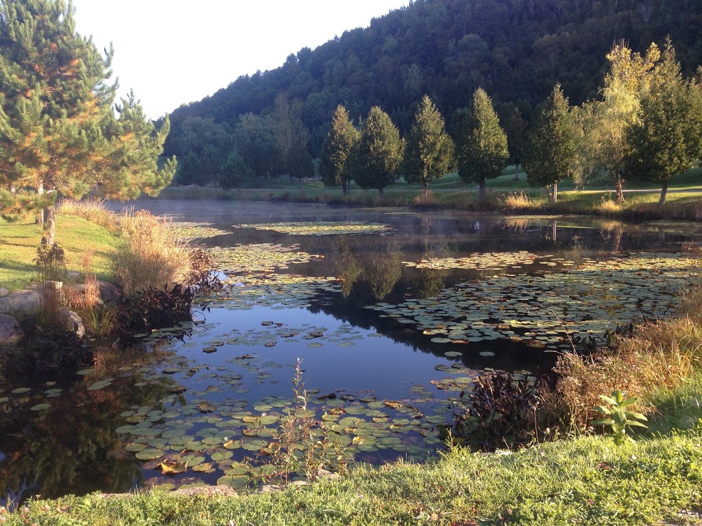 大叢林三寶山 | 690 Chemin de la Rivière Rouge, Harrington, QC J8G 2S7, Canada | Phone: (819) 687-2183