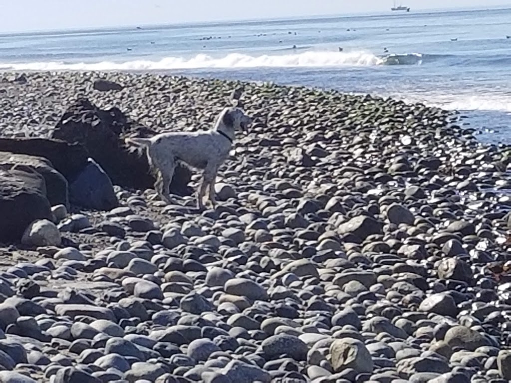 Morans Beach County Park | 899 Powell Rd, Oak Harbor, WA 98277, USA | Phone: (360) 679-7331