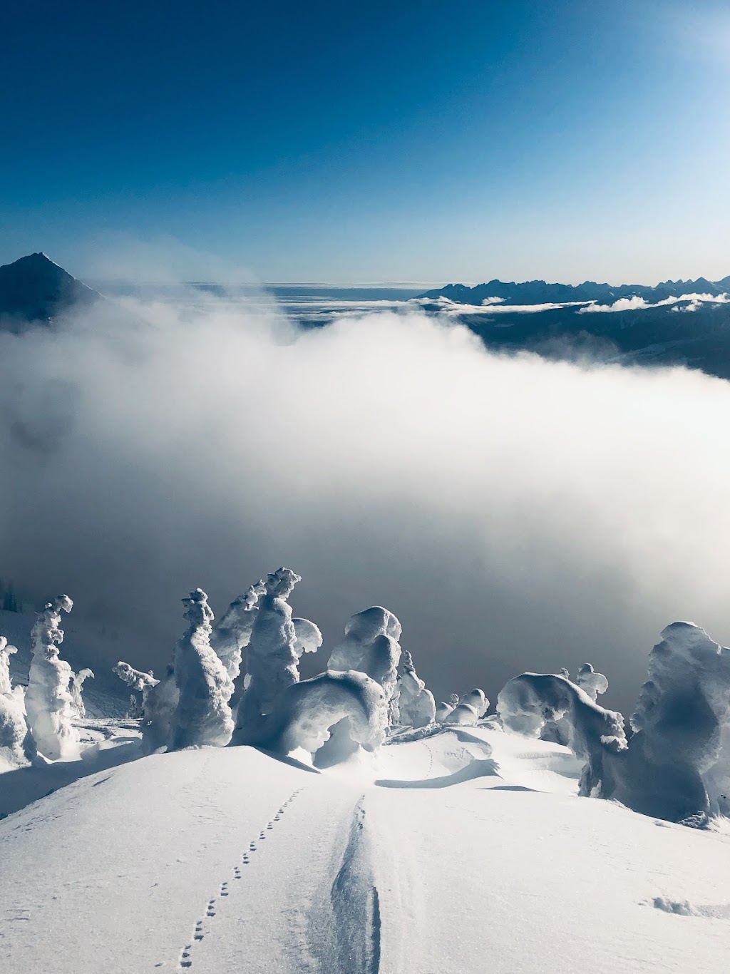 Painted Turtle Lodge | 1500 Shiell Rd, Revelstoke, BC V0E 2S1, Canada | Phone: (604) 905-9617