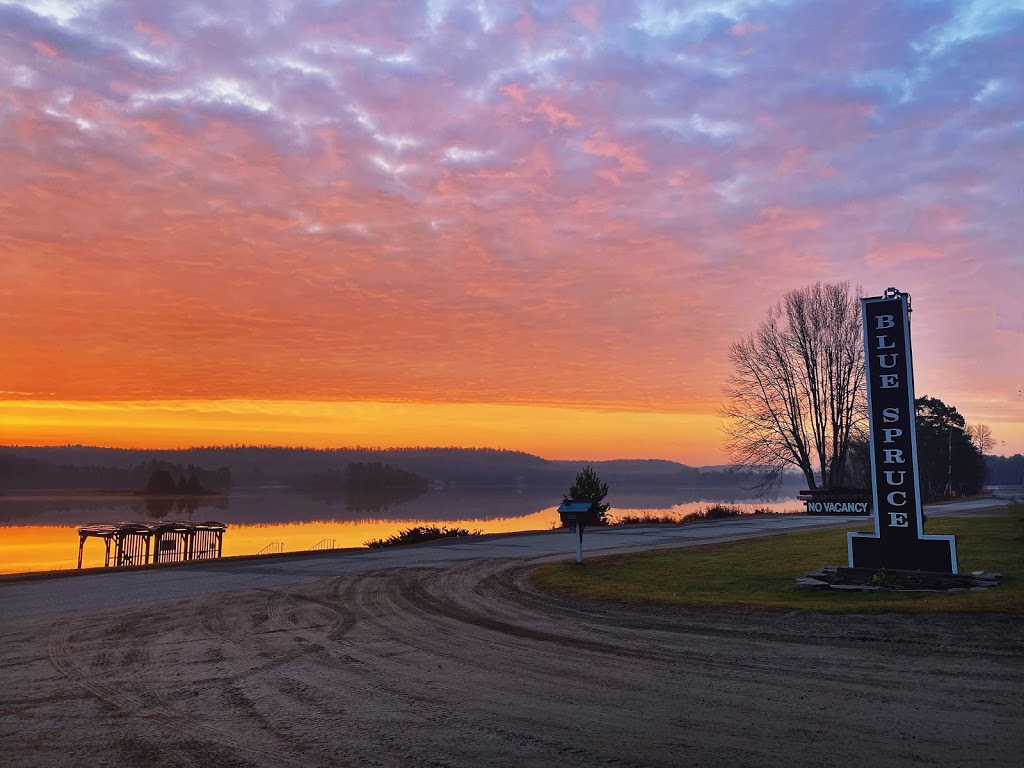 Blue Spruce Resort | 4308 ON-60, Dwight, ON P0A 1H0, Canada | Phone: (705) 635-2330