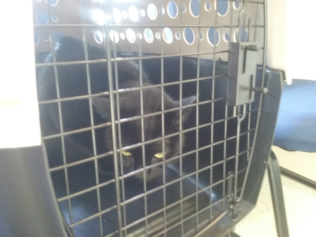 Wrights Corner Animal Care Center | 4089 Lake Ave, Lockport, NY 14094, USA | Phone: (716) 433-2434