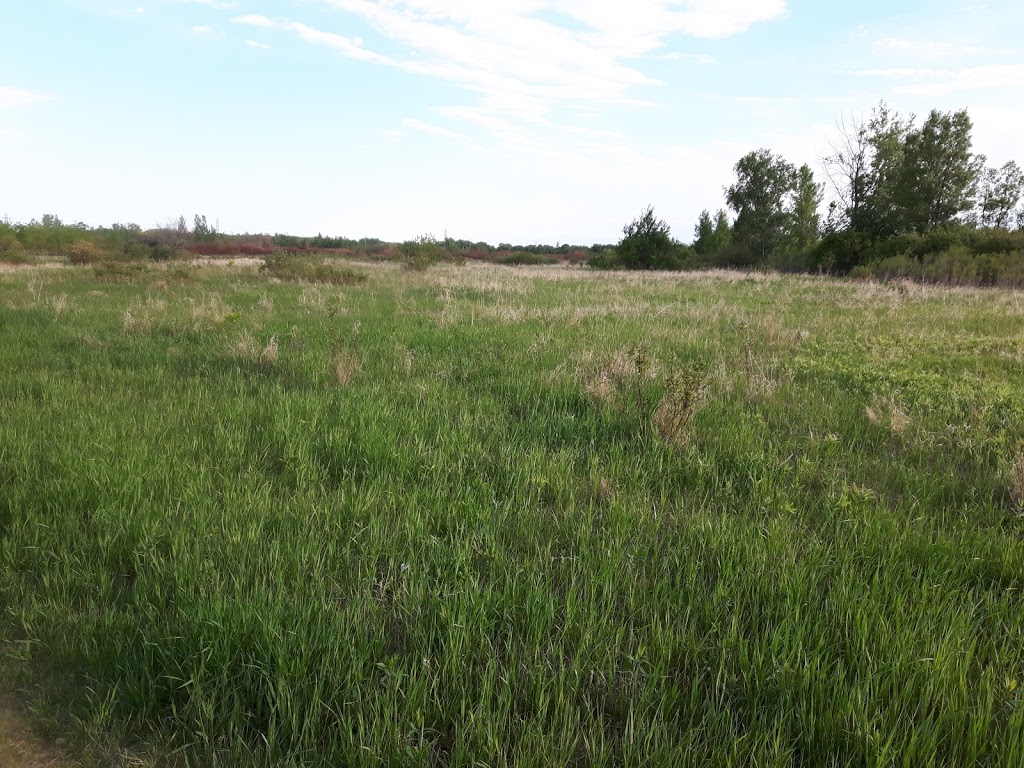 Transcona Bioreserve | Winnipeg, MB R2C 2X5, Canada | Phone: (204) 986-4966
