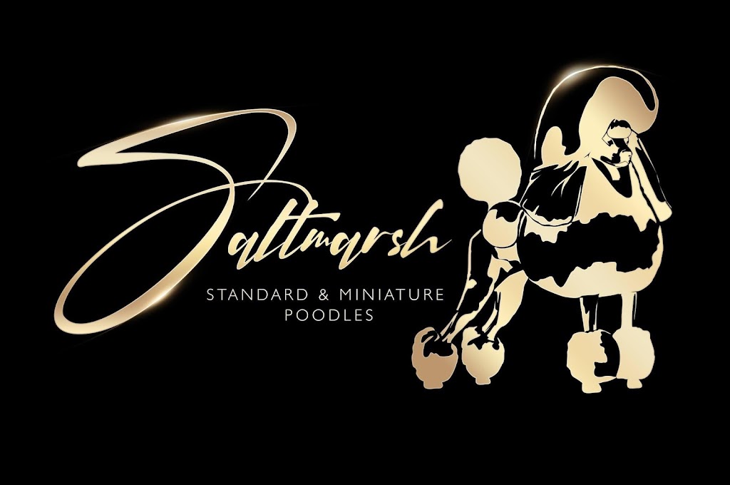 Saltmarsh Poodles | 6291 Nova Scotia Trunk 1, Ellershouse, NS B0N 1L0, Canada | Phone: (902) 824-5168