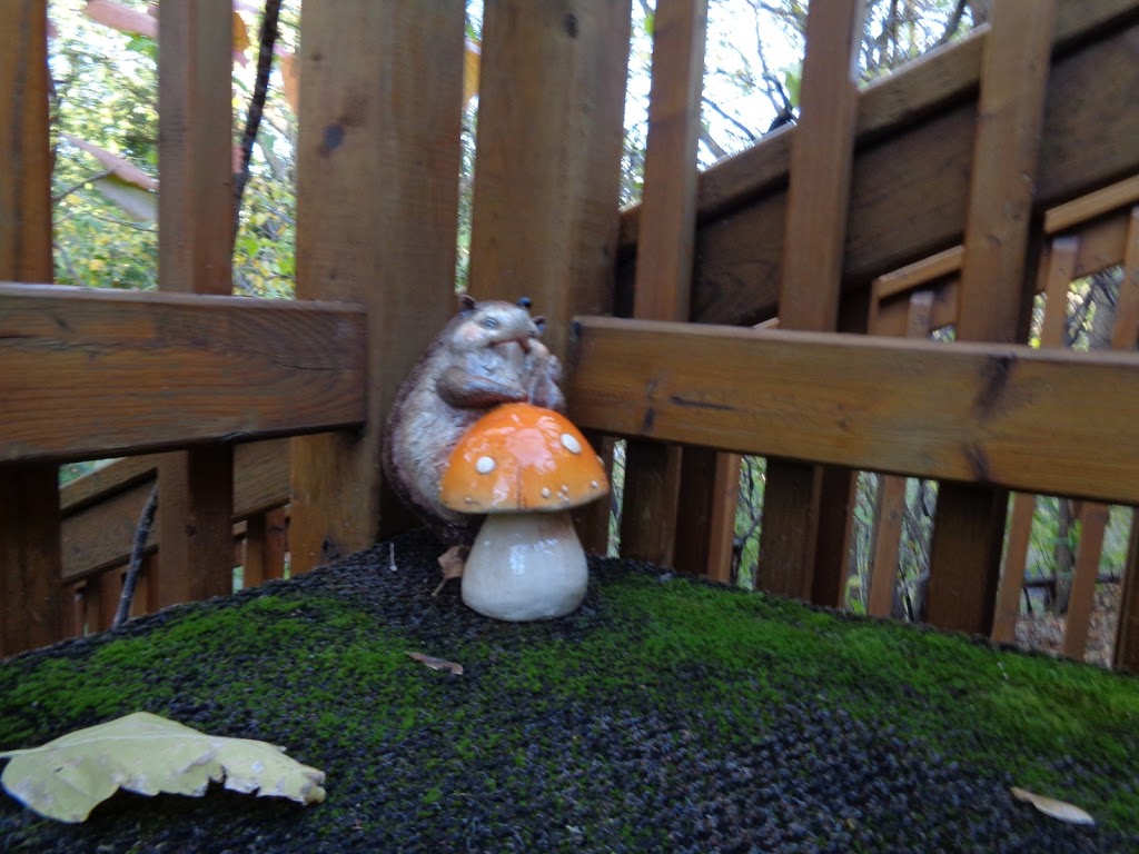 Log Haven Lodge | 5 Hebert Street, Saint Malo, MB R0A 1T0, Canada | Phone: (204) 712-7086