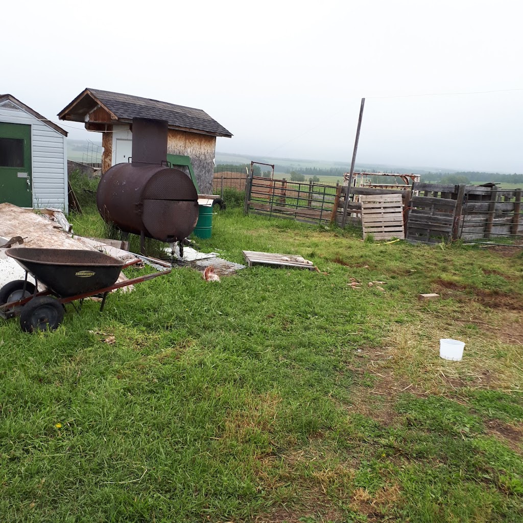 The Saskaberry Ranch | Township Rd 324, Alberta T0M 1X0, Canada | Phone: (403) 507-8994